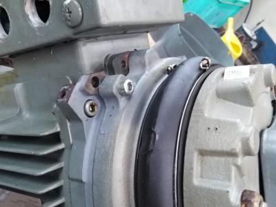 slinik elektryczny 19